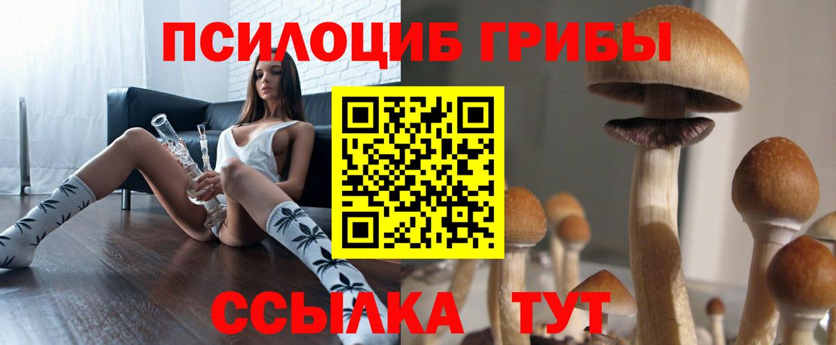 Псилоцибиновые грибы прущие грибы  Вход с VPN  Балтийск  Псилоцибиновые грибы GOLDEN TEACHER 