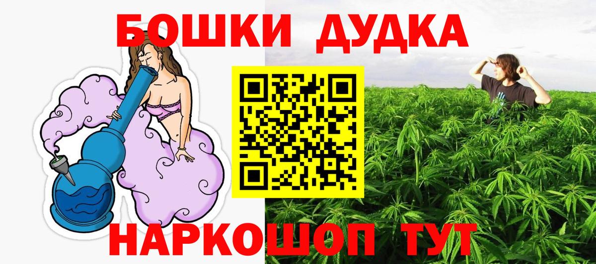 Бошки Шишки планчик Балтийск